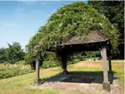  ??  ?? St Chad’s Well, with its sacred waters, today covered by a canopy swathed in vines.