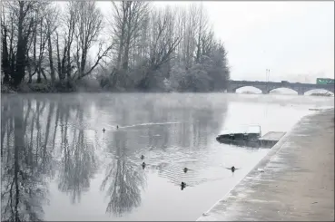  ?? (Photo: Katie Glavin) ?? Ducks on the Blackwater braving the hard freeze on Tuesday morning, as an icy fog descended on several areas.