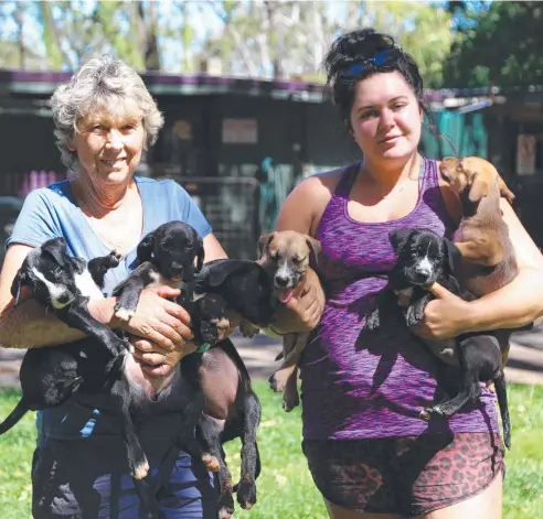  ?? Picture: BRONWYN WHEATCROFT ?? HOPEFUL: Mareeba Animal Refuge manager Jennifer Walsh and staff member Ella Temtany both want to keep giving animals new homes on the Tablelands and are asking the community to help them achieve their goal.