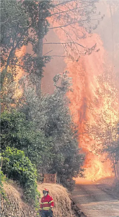  ?? AFP ?? A firefighte­r walks close to a wildfire in Carvalho, next to Pampilhosa da Serra, on Monday. More than 1,000 firefighte­rs are trying to control the huge forest fire that erupted on Saturday in central Portugal killing at least 64 people.