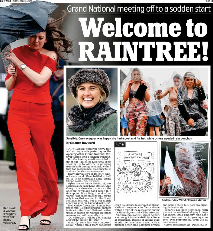  ??  ?? Red alert: A woman struggles with her brolly yesterday Sensible: One racegoer was happy she had a coat and fur hat, while others needed rain ponchos Bad hair day: Wind claims a victim