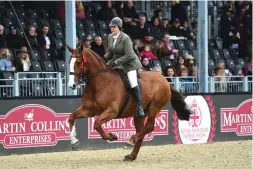  ?? ?? Kate Barber-Lomax’s Master Of The House, a former open cob champion here, lands the Martin Collins Enterprise­s amateur cob spoils ridden by Amanda Mar‹eet, for whom this was a  rst Windsor win