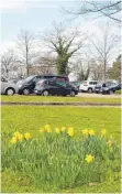  ?? FOTO: DIK ?? Wo es heute nur wenige Blumen und viele Autos gibt, soll es in drei Jahren anders sein, denn im Frühjahr 2021 soll auf der Hinteren Insel die Gartenscha­u beginnen.