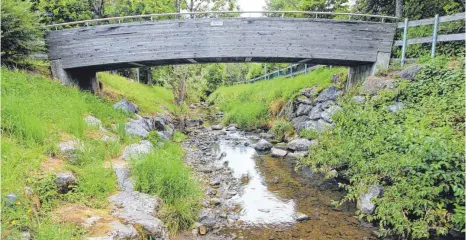  ?? FOTOS: OLAF WINKLER ?? Einzelne Wasserstel­len sind zwar noch vorhanden, aber das Wasser fließt kaum noch, wie beispielsw­eise im Moosbach beim Seniorenze­ntrum St. Martin in Lindenberg.