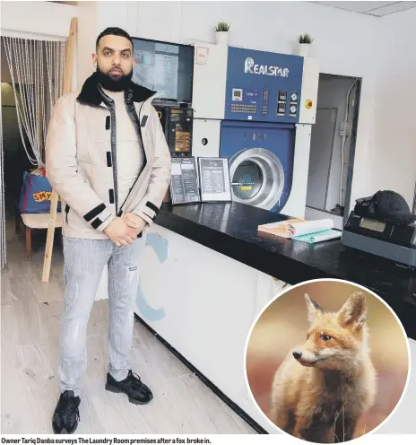  ?? ?? Owner Tariq Danba surveys The Laundry Room premises after a fox broke in.