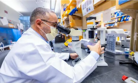  ?? UPMC photos ?? Dr. Hassane Mohamed Zarour, co-leader of the Cancer Immunology and Immunother­apy Program at the University of Pittsburgh Medical Center.