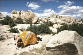  ?? AP PHOTO/JAE CHONG ?? In this May 19 file photo, Marta Jerebets, left, and Arthur Pettit pitch their tent on a campground at Joshua Tree National Park in California. California will allow schools, day camps, bars, gyms, campground­s and profession­al sports to begin reopening with modificati­ons starting June 12.