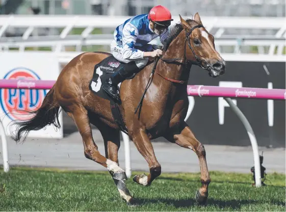  ?? Picture: AAP IMAGE ?? Redkirk Warrior is primed to perform at his best in The Everest at Randwick today, according to his trainer David Hayes.