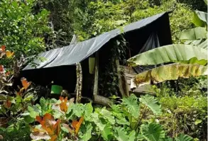  ?? MINAE PARA LN ?? Vista de uno de los ranchos clandestin­os descubiert­os por las autoridade­s en el Parque Nacional Corcovado.