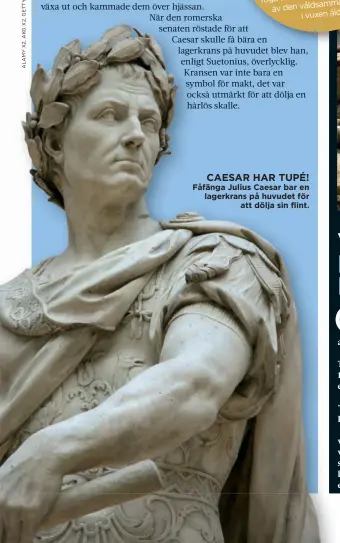  ??  ?? CAESAR HAR TUPÉ!
Fåfänga Julius Caesar bar en lagerkrans på huvudet för att dölja sin flint.