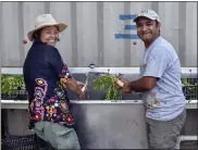  ??  ?? Shamati Suhang, farmer, and Jay Regmi, farm manager for Salt City Harvest Farm, wash freshly picked produce.