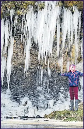  ??  ?? Nine-year-old Emily Lamb next to a wall of icicles in Teesdale, Co Durham