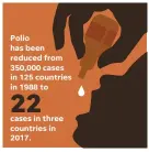  ?? MIKE B. SMITH, JANET LOEHRKE/USA TODAY NOTE Today is World Polio Day SOURCE Global Polio Eradicatio­n Initiative ??