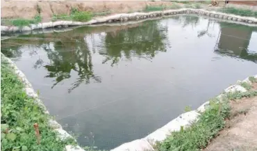  ??  ?? A pond at Ilorin Fish farm Estate