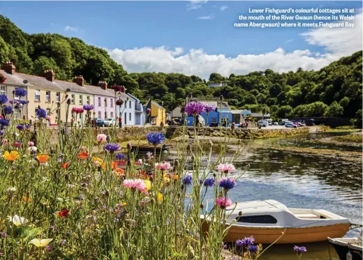  ??  ?? Lower Fishguard’s colourful cottages sit at the mouth of the River Gwaun (hence its Welsh name Abergwaun) where it meets Fishguard Bay