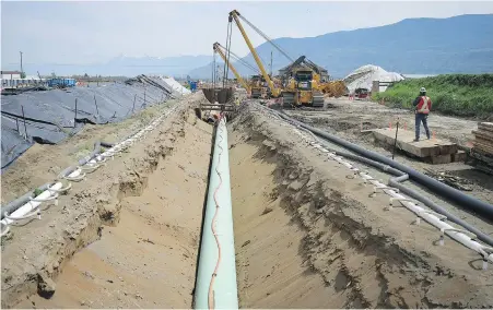  ?? DARRYL DYCK, THE CANADIAN PRESS ?? Workers lay pipe during constructi­on of the Trans Mountain pipeline expansion on farmland in Abbotsford last summer. Trans Mountain is continuing to target a start date in the second quarter of 2024.