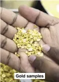  ??  ?? Gold samples