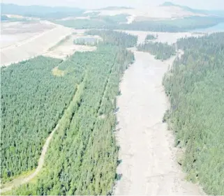  ??  ?? Aug. 15, 2014: The dam for the pond that stores toxic waste from the Mount Polley Mine broke, spilling its contents into Hazeltine Creek and Quesnel Lake near the town of Likely.