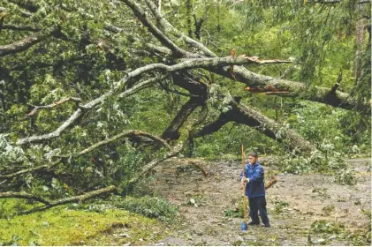  ?? STAFF PHOTO BY DOUG STRICKLAND ?? Evan Miller stands near a fallen tree Tuesday that blocked the road in front of his family’s home in Signal Mountain.