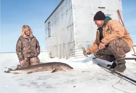  ??  ?? Michelle Muche of Van Dyne kneels next to the sturgeon she speared as her husband, Paul Muche, reconfigur­es the spear.