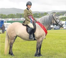  ??  ?? Fife Show Novice M&M champion Foremerk Heather Gem, with Rebecca Chalmers.