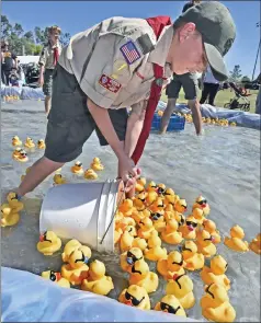  ?? Dan Watson/The Signal ?? Boyscout Emory Hinze, 11, of troop 609-Nehwall scoops up the finishers of the first race at the 14th Annual Rubber Ducky Festival to benefit the Samuel Dixon Family Health Center held at Bridgeport Park in Valencia in October 2016.