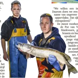  ?? FOTO KRISTIN MATTHYSSEN ?? Martijn Heyboer en Jorrit Mies van AT.KB. met een Vierselse snoek van 80 centimeter lang.