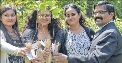  ?? TONY DAVIS/ THE GUARDIAN ?? Shobhitha Balasubram­aniam, from left, holds a tree with her younger sister Prithinkkr­aa, mother Manjula and father Balasubram­aniam Muthusamy after the family members received their Canadian citizenshi­p during a ceremony at Ardgowan National Historic Site on Canada Day. The ceremony was held by the Institute for Canadian Citizenshi­p while the trees were gifts from the Department of Workforce and Advanced Learning, which encourages new citizens to plant their roots in P.E.I.