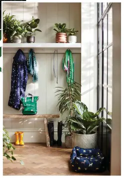  ??  ?? Create a welcoming entrance with a variety of plants in mismatched pots and a rustic wooden bench for guests to take their boots off
Joules Weybridge Navy Spot raincoat, £59.95;
Norris ladies Black field boots, £94.99; ROKA Bantry small Emerald rucksack, £49.99;
Hunter Original Yellow kids wellies, £40;
Florian pot Brown 18.5cm, £22.99; Helen pot five assorted 13cm, £6.99; Lynn pots in Light Grey, 16cm, £9.99 and 21cm, £16.99; Green Leopard recycled scarf, £17.99; Teardrop graphic pattern scarf green mix, £11.99, Ficus elastica mix, £8.99, all Dobbies