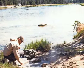  ?? PROVIDED BY TOM BROCK ?? Microbiolo­gist Tom Brock collects one of his first samples from the Yellowston­e River in 1964. A pioneer in his field, Brock’s discovery of bacteria that can live in extremely high temperatur­es led to advancemen­ts in biology and medicine, including polymerase chain reaction – or PCR – tests.