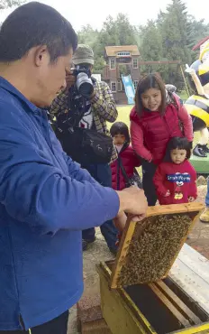  ??  ?? Help the beekeeper at the Ta Shee apiary and take home a bottle of golden honey.