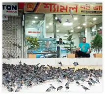  ??  ?? Samor Kumar Ghosh feeds local birds in Pabna, Bangladesh. (AN photo)
