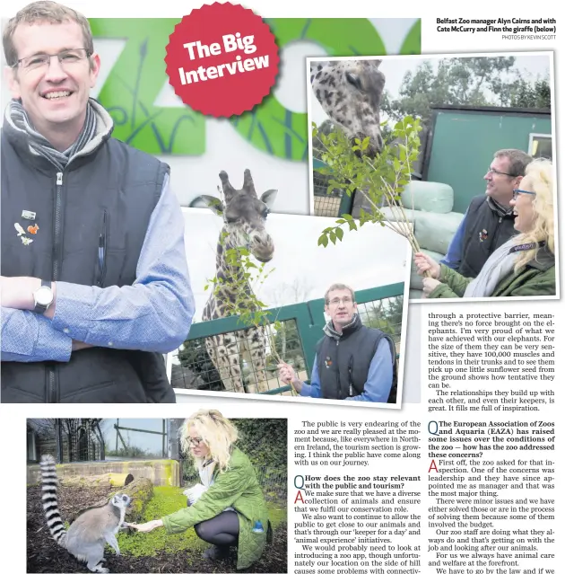  ??  ?? Our reporter Cate McCurry at Belfast Zoo feeding the ring tailed lemurs (also right)