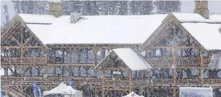  ?? THE CANADIAN PRESS ?? Lake Louise Ski Area Ltd., the company that owns a popular resort in Banff National Park, has lost its bid to avoid a trial on a charge laid under the Species at Risk Act for cutting down endangered trees.