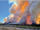  ?? Photograph: Michael Gaio/Reuters ?? The Mill fire burning at the outskirts of Weed, California, has already destroyed at least 100 homes in the area.