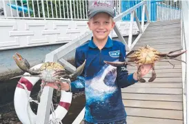  ?? ?? 1 Tyler has been catching some very nice mud crabs on school holidays.