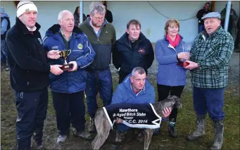  ??  ?? Ger Lynch, Mike Slattery, Donagh Mclane, Nial Morrisy, John McLane, Rose O’Driscoll and Pat O’Connor presenting the cup to Ger Lynch after his dog, Skellig Bright, won the All Age Bitch at Ballyduff on Sunday last