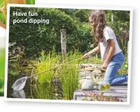  ??  ?? Have fun pond dipping