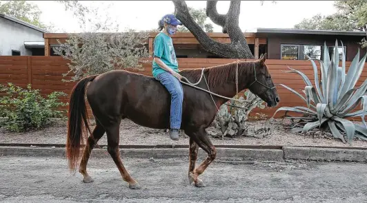  ?? Photos by Kin Man Hui / Staff photograph­er ?? Julia “Rabbitt” Mclernon takes Horsepuppy, an appaloosa horse, on a stroll through the Northwood neighborho­od.