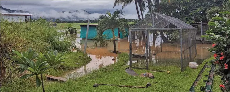  ?? ?? Animals Fiji Nadi clinic after the recent floods. Photo: Animals Fiji