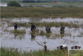  ?? WEYENS
FOTO LUK ?? Vissers gingen dinsdag en woensdag op zoek naar levende vissen om de dieren over te zetten in zuurstofri­jk water.