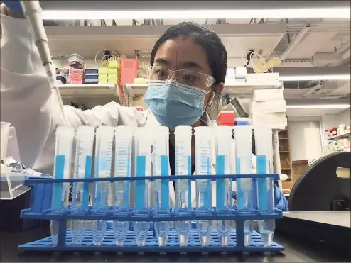  ?? Yale University ?? Annabelle Pan, a research scientist in Jordan Peccia's lab at Yale University, examines sludge samples. Between March 19 and June 30, a group of scientists tested waste that had previously been used to detect COVID-19, looking for drugs and chemicals.