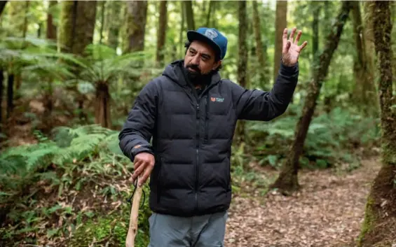  ??  ?? Clockwise from left: Himi leading a guided walk in Whirinaki Forest; Himi pulling up the hīnaki; kawakawa bush