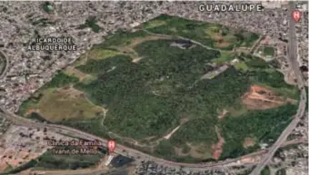  ?? © ?? Een luchtfoto van het bedreigde stuk woud Floresta do Camboata. google earth