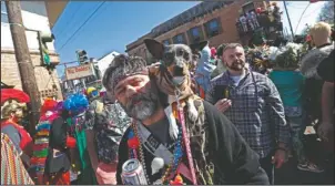  ?? The Associated Press ?? MARDI PARTY: A man walks with his dog during the Society de Sainte Anne parade, on Mardi Gras day in New Orleans on Tuesday.