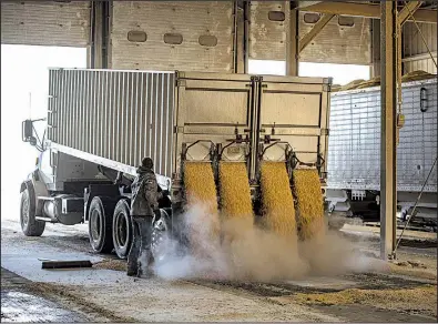  ?? Bloomberg file photo ?? A driver unloads corn in February at the Poet biorefinin­g facility in Jewell, Iowa. The company specialize­s in creating ethanol.