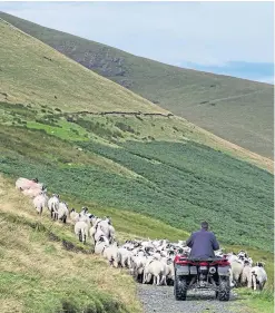  ?? Picture: Shuttersto­ck. ?? The four-year research project will focus on goat and sheep farming in Scotland.