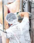  ?? FOTO: DPA ?? Durch Plexiglass­cheiben voneinande­r getrennt, zerlegen Mitarbeite­r von Tönnies geschlacht­ete Schweine im Stammwerk des Betriebes.