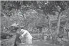  ?? VINCENT THIAN/AP FILE ?? A nurse administer­s a COVID-19 vaccine to an elderly woman in her house in Sabab Bernam, Malaysia.