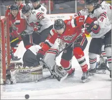  ?? MIKE TURNER/SALTWIRE NETWORK ?? Pictou County Crushers forward Evan MacLennan works the crease in a Dec. 8 against the Truro Bearcats.